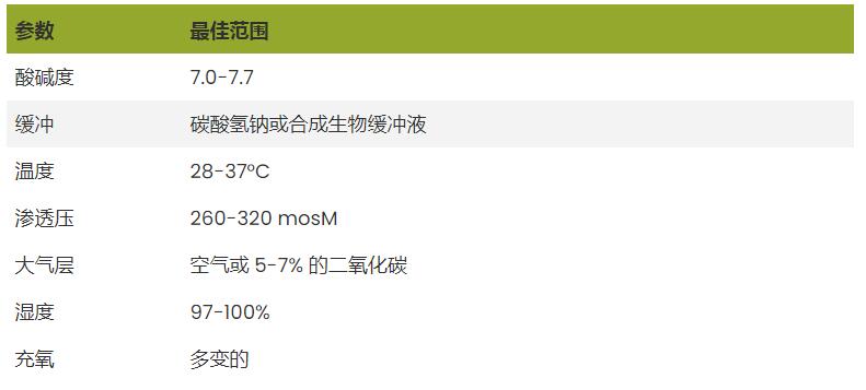 活細(xì)胞成像儀