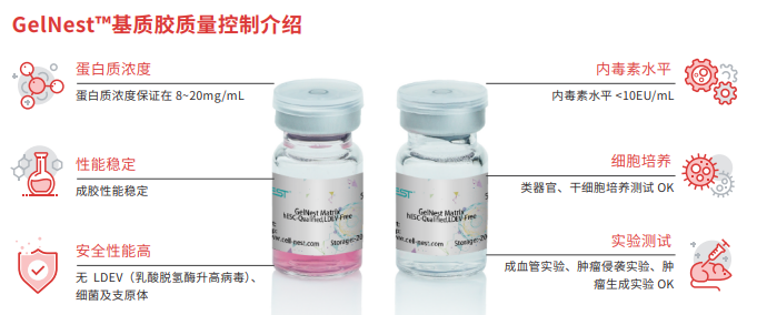 GelNEST基質膠