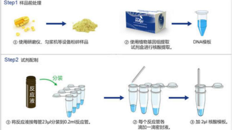 pcr實(shí)驗(yàn)步驟-pcr擴(kuò)增的原理和步驟