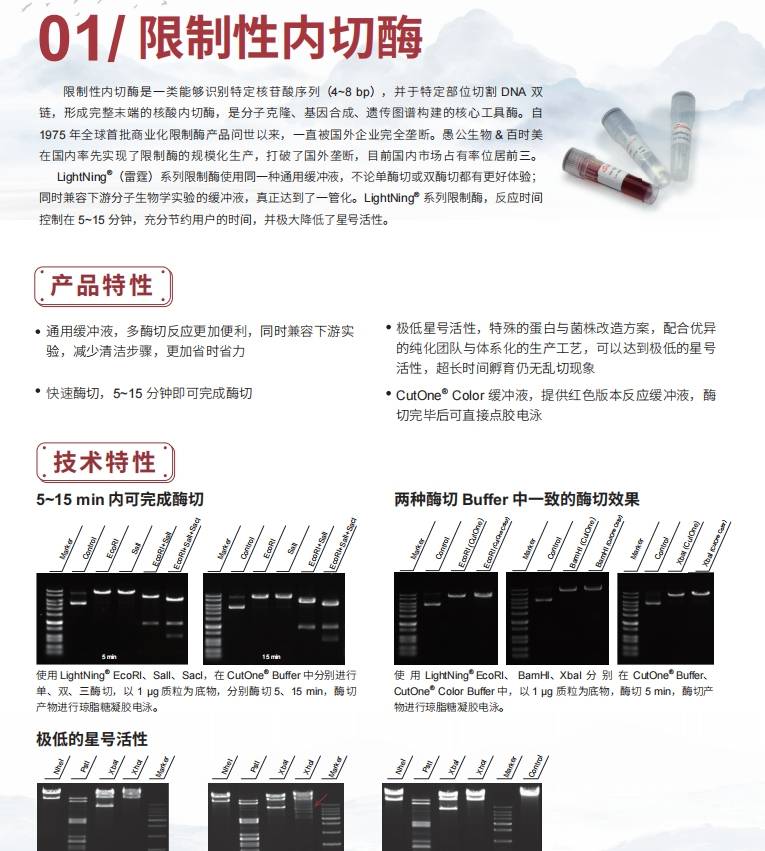 taq DNA <i style='color:red'>聚合酶</i>和限制性內(nèi)切酶哪種在分子生物學(xué)實(shí)驗(yàn)中用量較大？