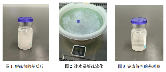 基質(zhì)膠解凍4
