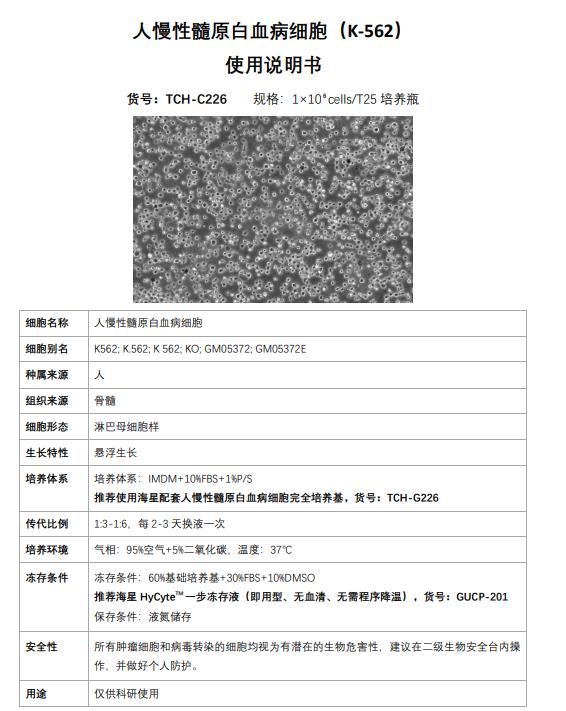 K562細(xì)胞使用說明書