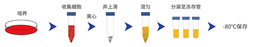 干細胞凍存液步驟