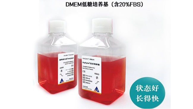 配制<i style='color:red'>hek293</i>培養(yǎng)基時(shí)的注意事項(xiàng)