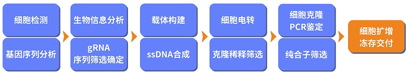 基因敲除細胞
