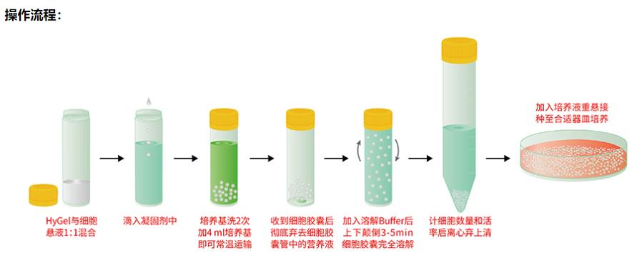 細(xì)胞膠囊試劑盒操作說(shuō)明