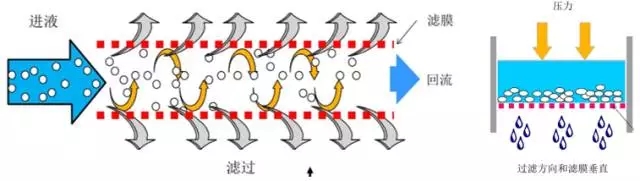 TFF和ATF切向流技術(shù)在生物反應(yīng)器灌流培養(yǎng)中的應(yīng)用