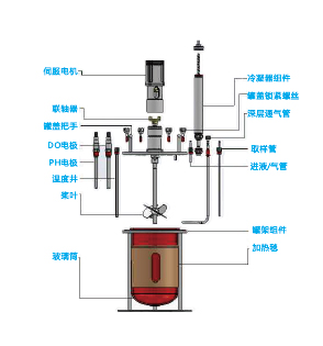 BioCore-QF單聯(lián)臺(tái)式微生物發(fā)酵罐（玻璃）