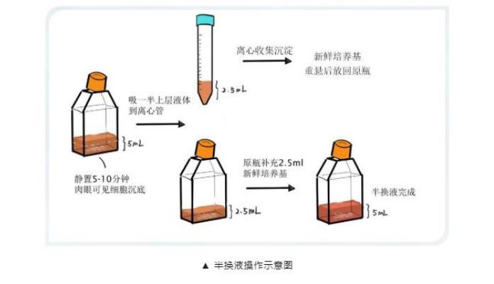 實(shí)驗(yàn)耗材