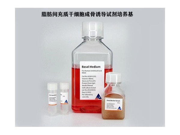脂肪間充質干細胞成骨誘導試劑培養(yǎng)基