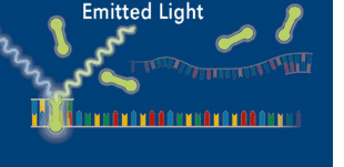 在使用PCR儀進行實驗時如何選擇合適的退火溫度？