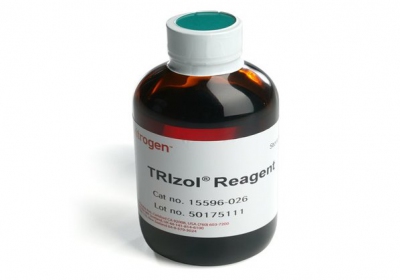 使用<i style='color:red'>trizol</i>試劑進(jìn)行樣本的RNA提取的方法