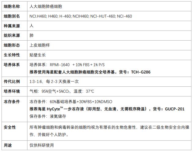 NCI-H460細(xì)胞