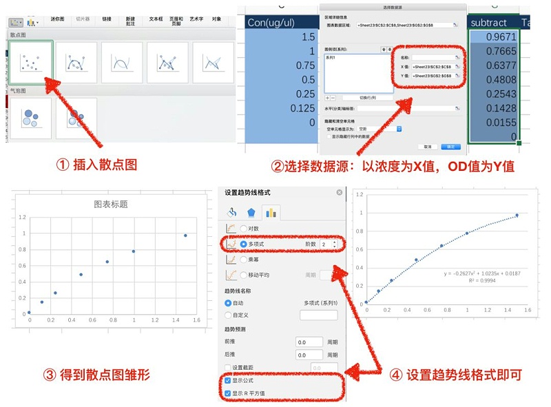 蛋白定量 二項式