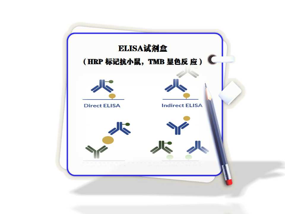 試劑盒elisa?（HRP 標(biāo)記抗小鼠，TMB 顯色反 應(yīng)）