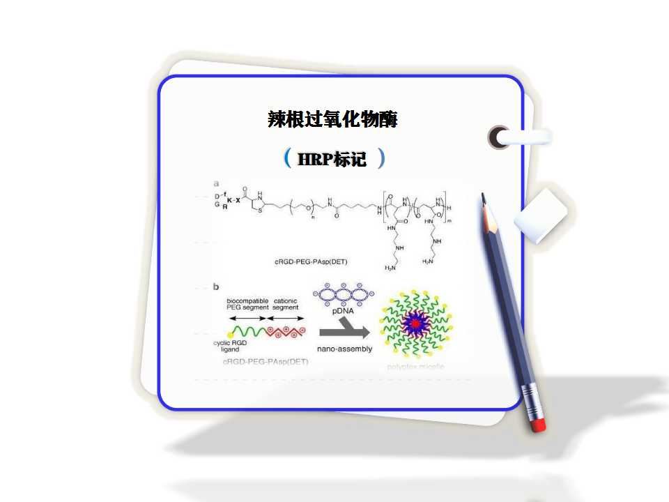 辣根過(guò)氧化物酶HRP