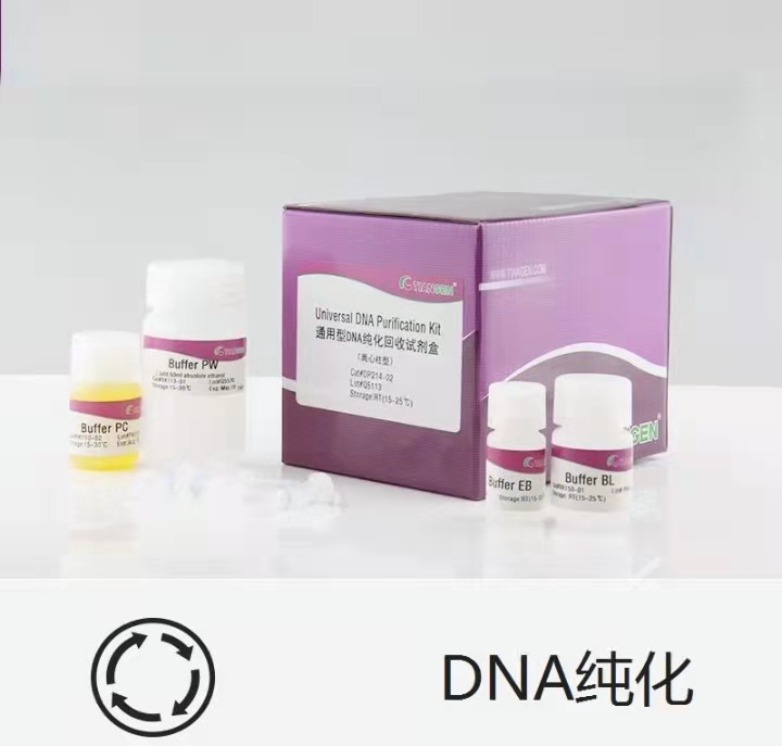 天根-DH5α感受態(tài)細胞-CB101-02