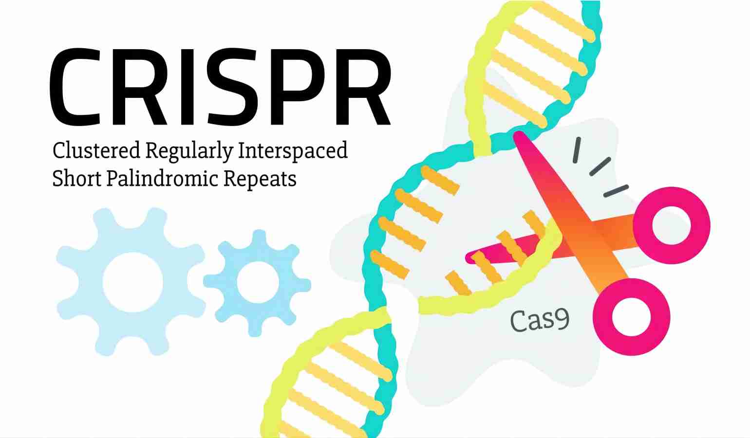什么是<i style='color:red'>crispr</i>/Cas9技術(shù)