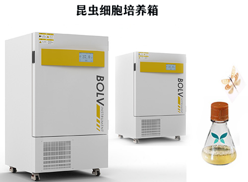 細胞培養(yǎng)箱